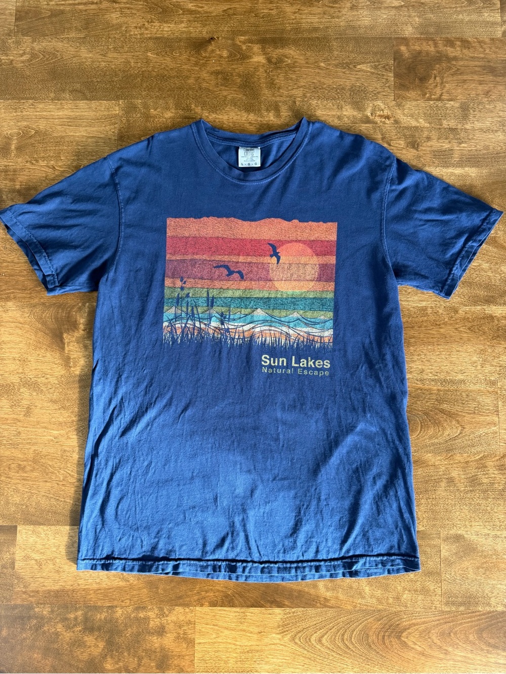 Comfort Colors Sun Lakes Retro Graphic T-Shirt Blue Large